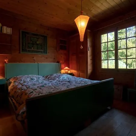 Taniere Chalet Gryon