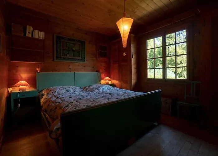 Taniere Chalet Gryon